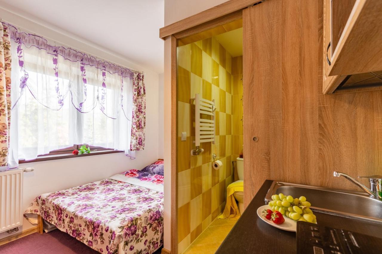 Willa Jozefina Zakopane Ngoại thất bức ảnh